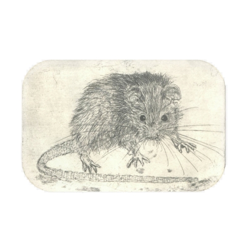 Magnet 68x44mm rechteckig - mit der Grafik "Kleine Ratte"